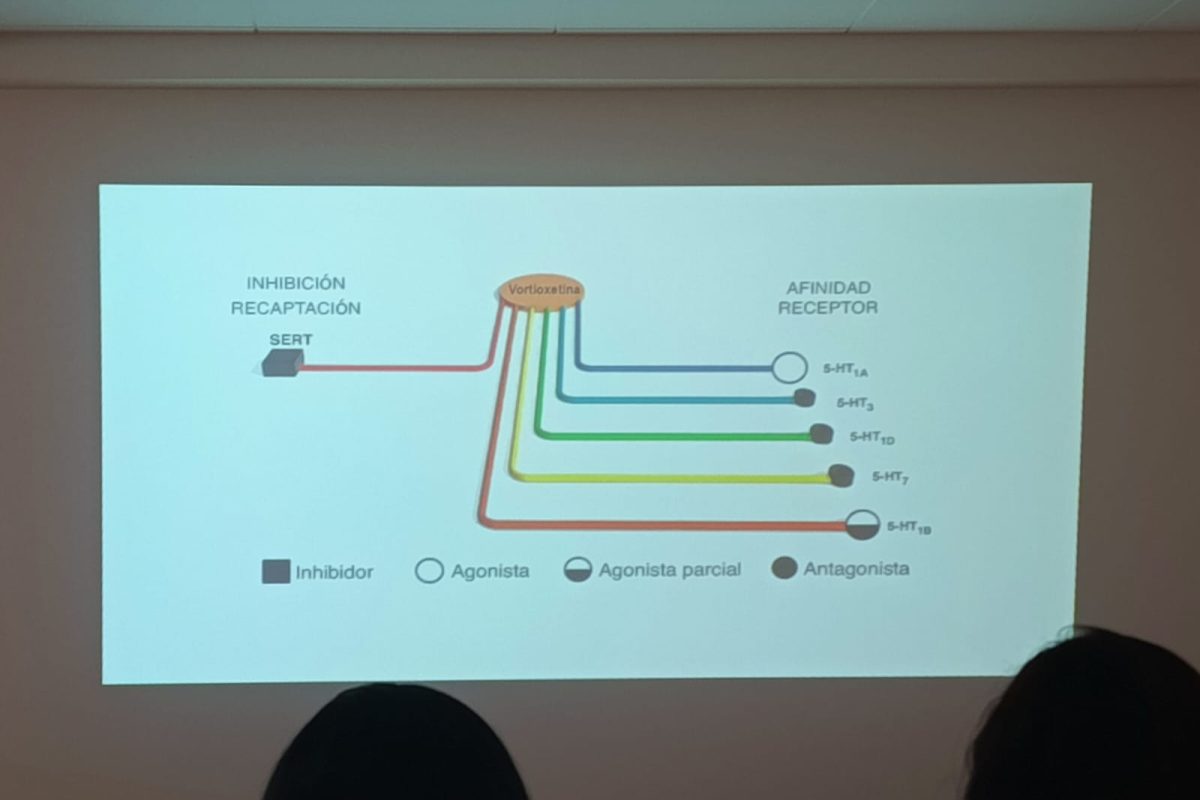 WhatsApp Image 2025-07-28 at 11.27.45