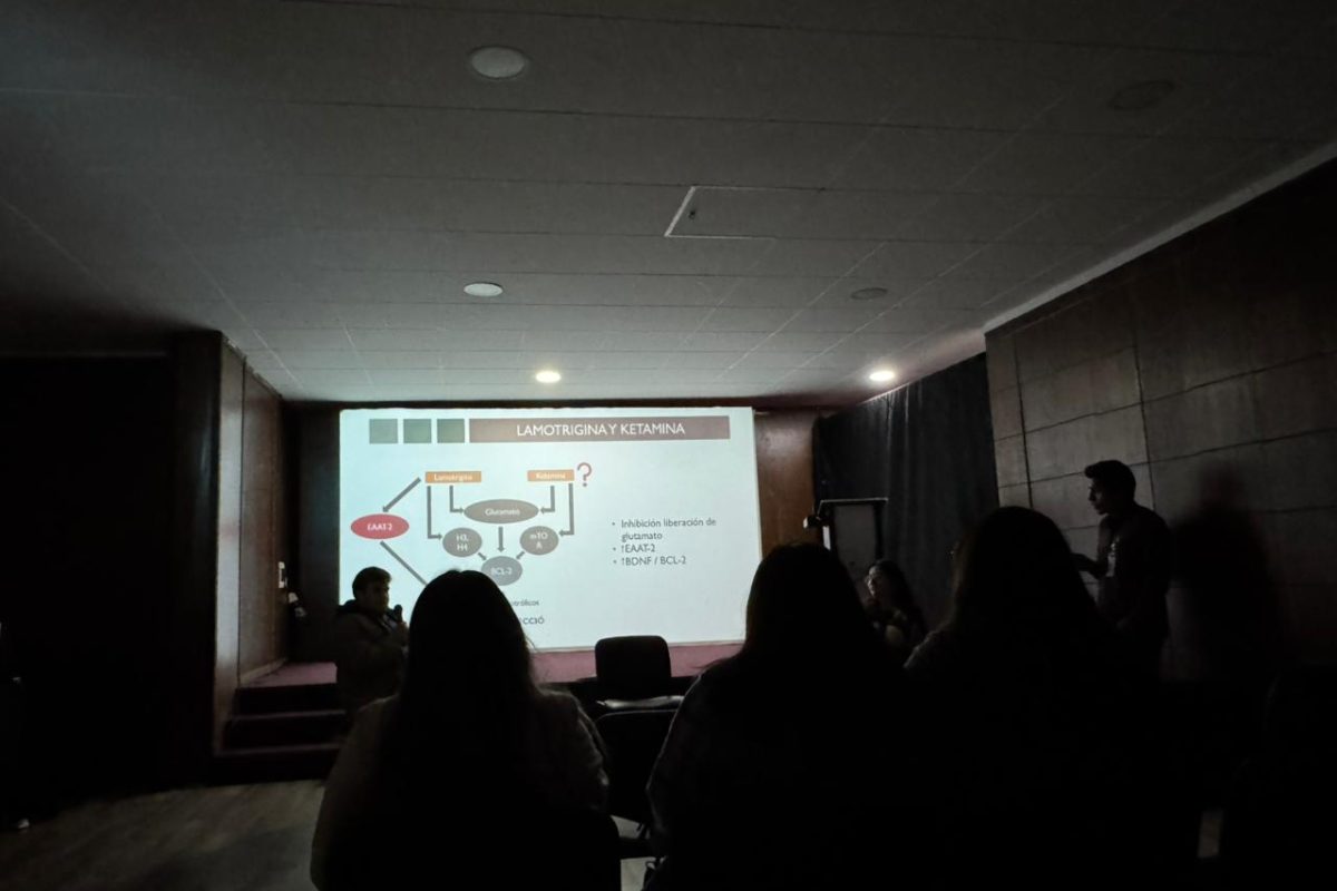 WhatsApp Image 2025-07-28 at 13.26.33 (1)